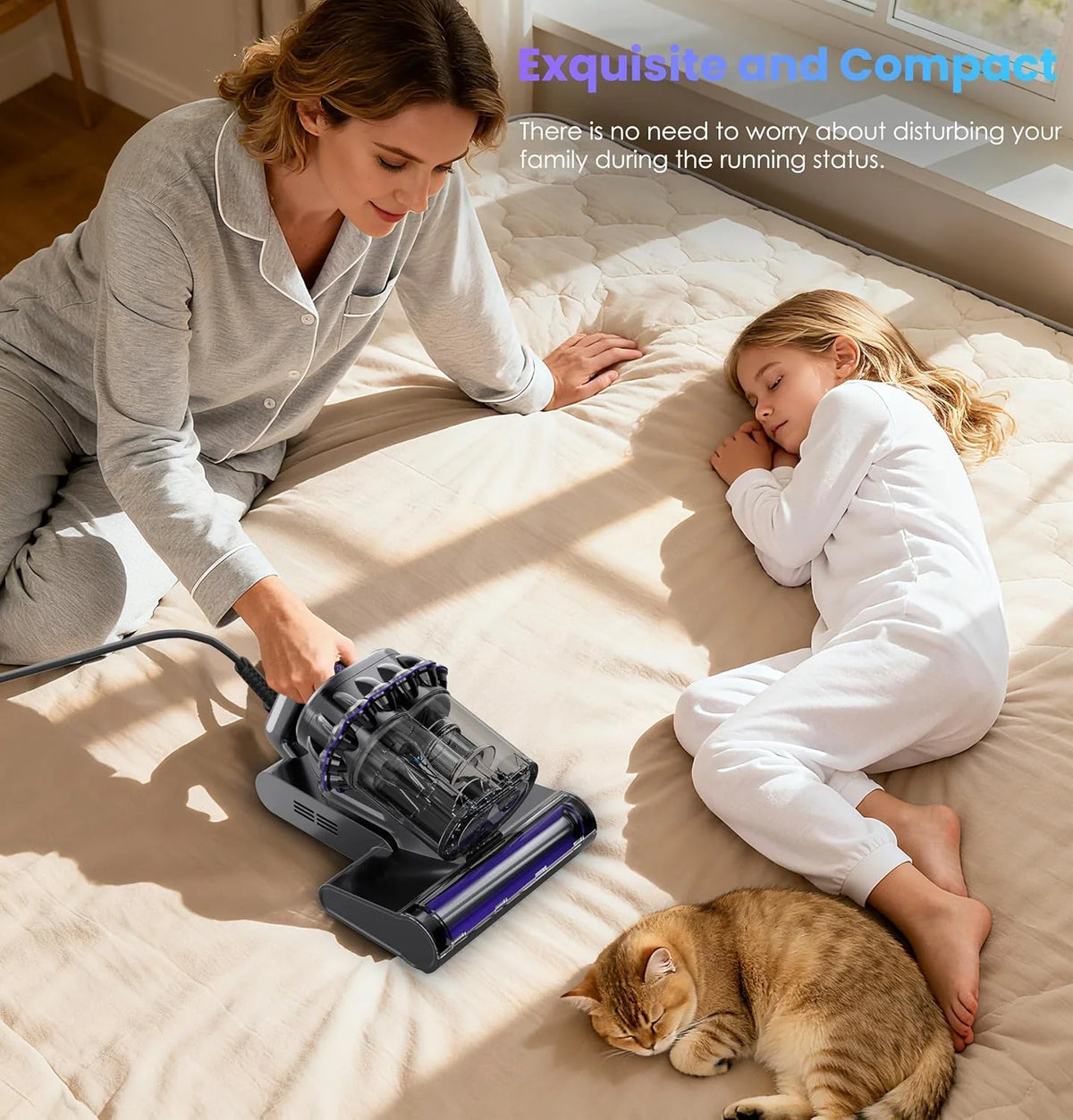 Ultimate Mattress & Sofa Cleaner